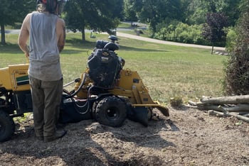 Stump Grinding